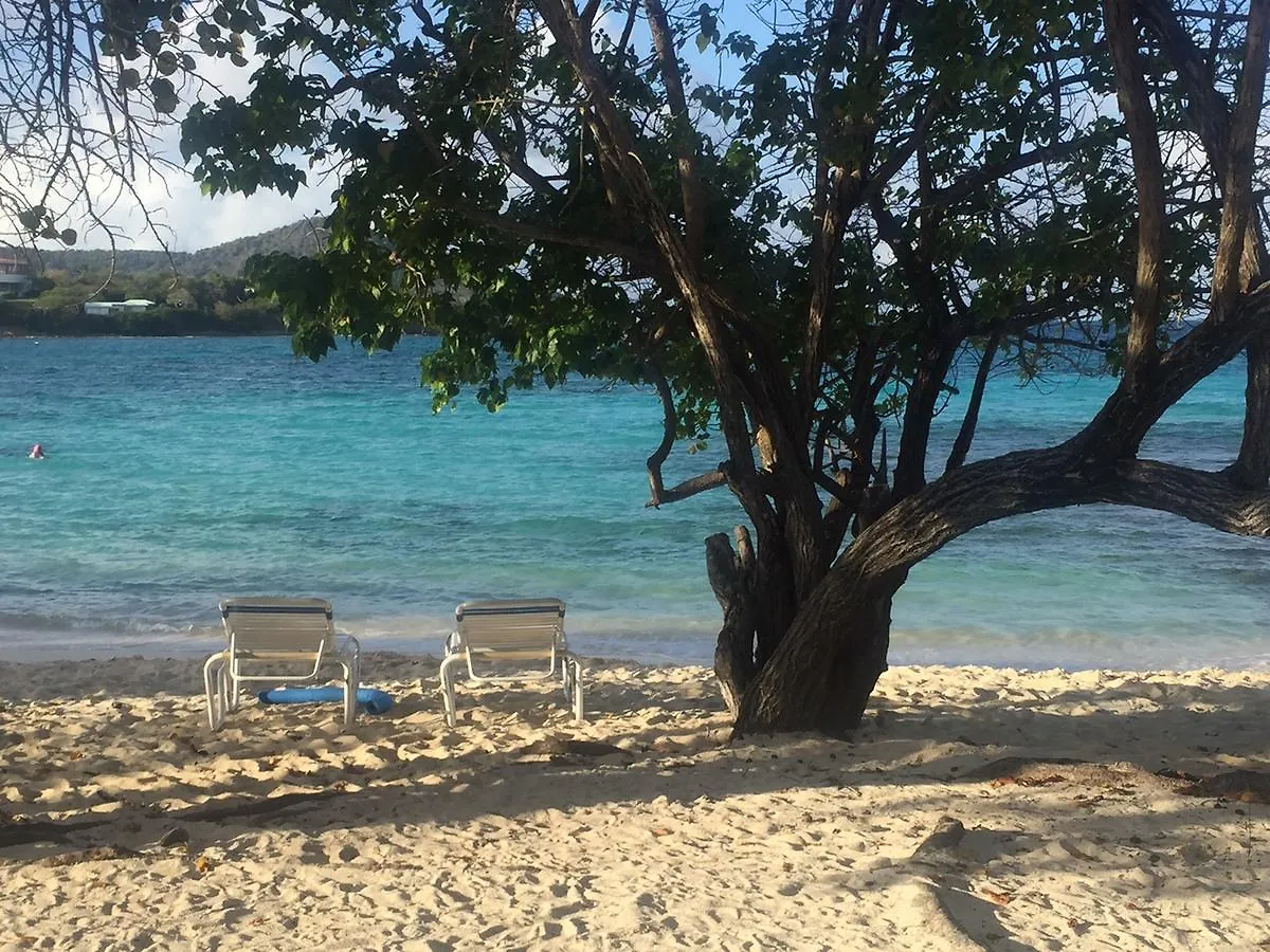 ***  Sapphire Beach Resort East End  United States Virgin Islands